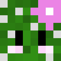 Non Binary | Minecraft Skins