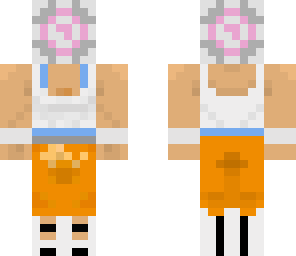 companion chell