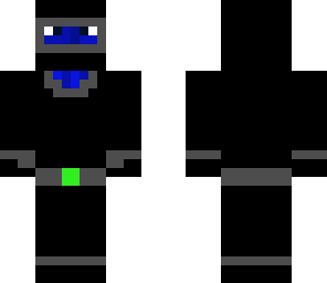 ninja skin