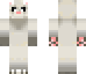 kitty