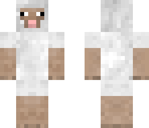 sheep