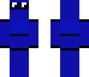 the blue ninja