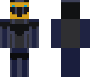 ender ninja