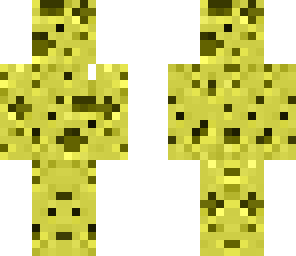 sponge