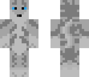 grey tabby