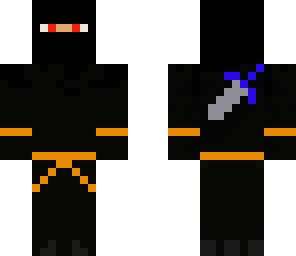 the ninja