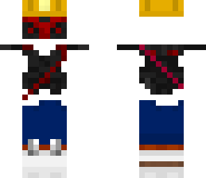 the ninjaminer