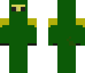 the green ninja