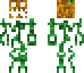 pumpkin skin