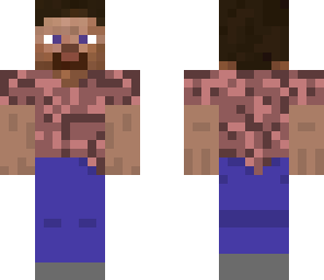 modern steve