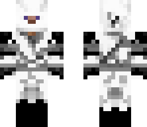 snow ninja