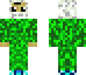 the green ninja