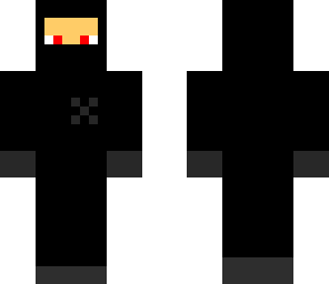 the_ninja