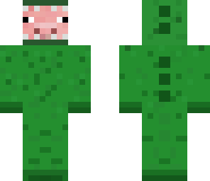 dino pig
