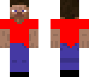 custom steve