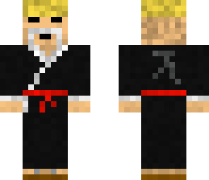 master of martial arts