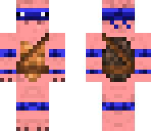 teenage mutant ninja turtle-pig
