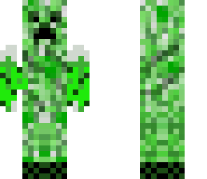 winged creeper