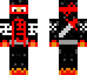 the ninja