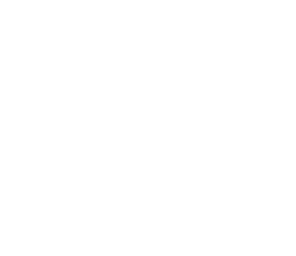 light elemental