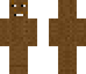 the bear