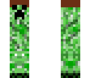 wetern creeper