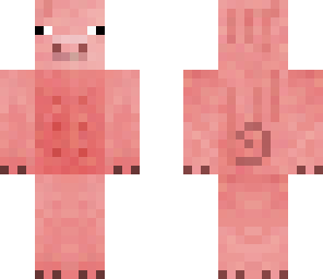 pig