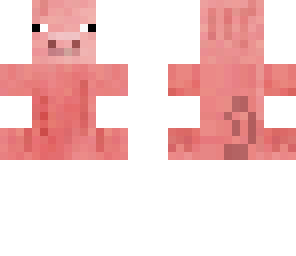 baby pig