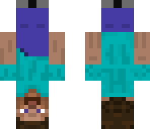upside down steve