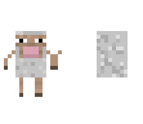 mini sheep
