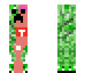 anatomical  creeper