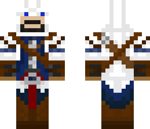 the assasin