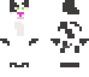 jac jac the cat