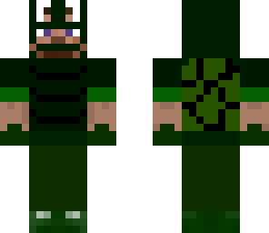 steave in turtle costume