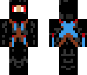 the black ninja