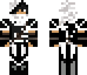 steelelife assasin skin