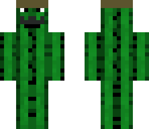 cactus disfarced
