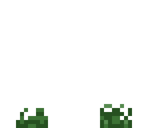 long grass