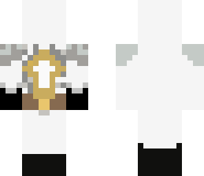 paladin the holy warrior