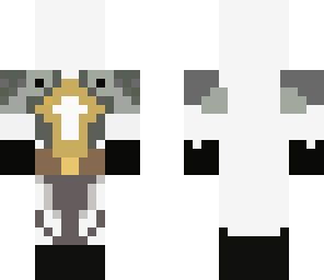 paladin the holy warrior