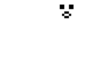 face 
