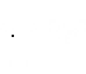 black dot