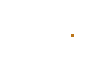orangish brown dot