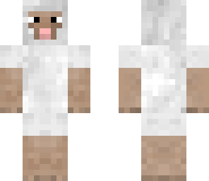 sheep