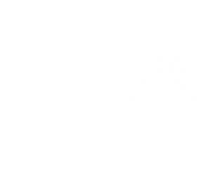 blank