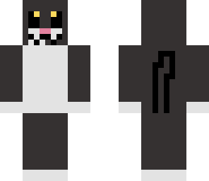 kitten