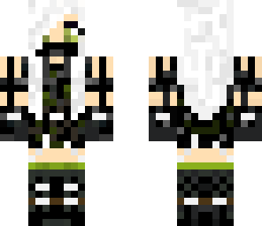 ashelin ninja