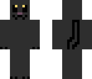 a cat