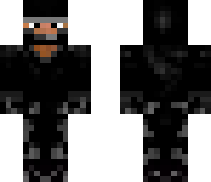 the ninja