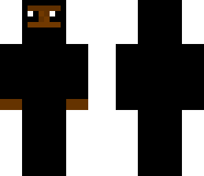 domo ninja 
